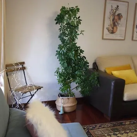 Elduayen Luxury Centro Apartment